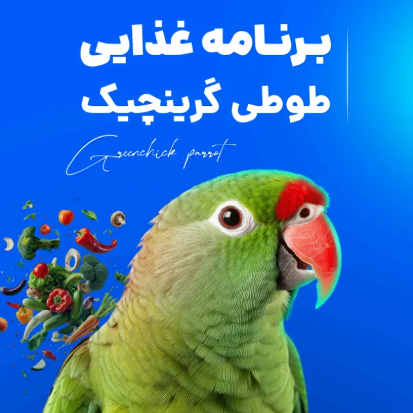 برنامه غذایی طوطی گرینچیک (دانلود فوری)